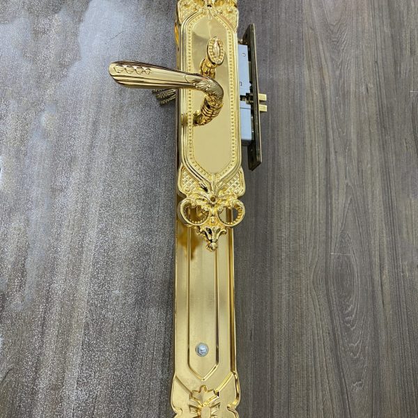Khóa đồng đại sảnh Archie AS2031-C05-02, mạ vàng 24K, Khóa cửa cao cấp Archie - Ảnh 9